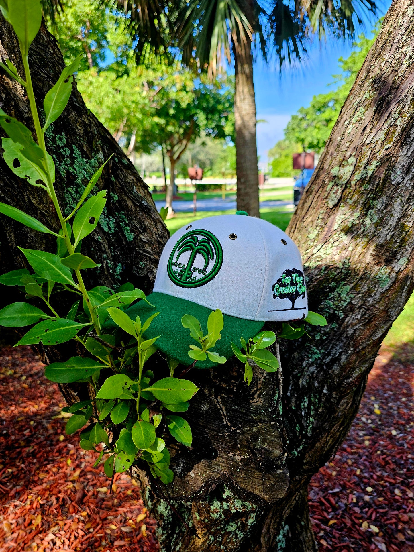 Spring Green